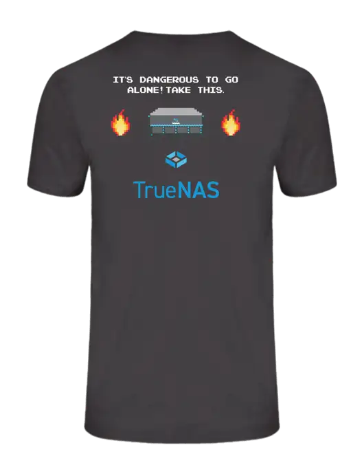 Ring Spun Charcoal 4.5 oz T-Shirt w/Zelda Inspired Logo, TrueNAS Logo
